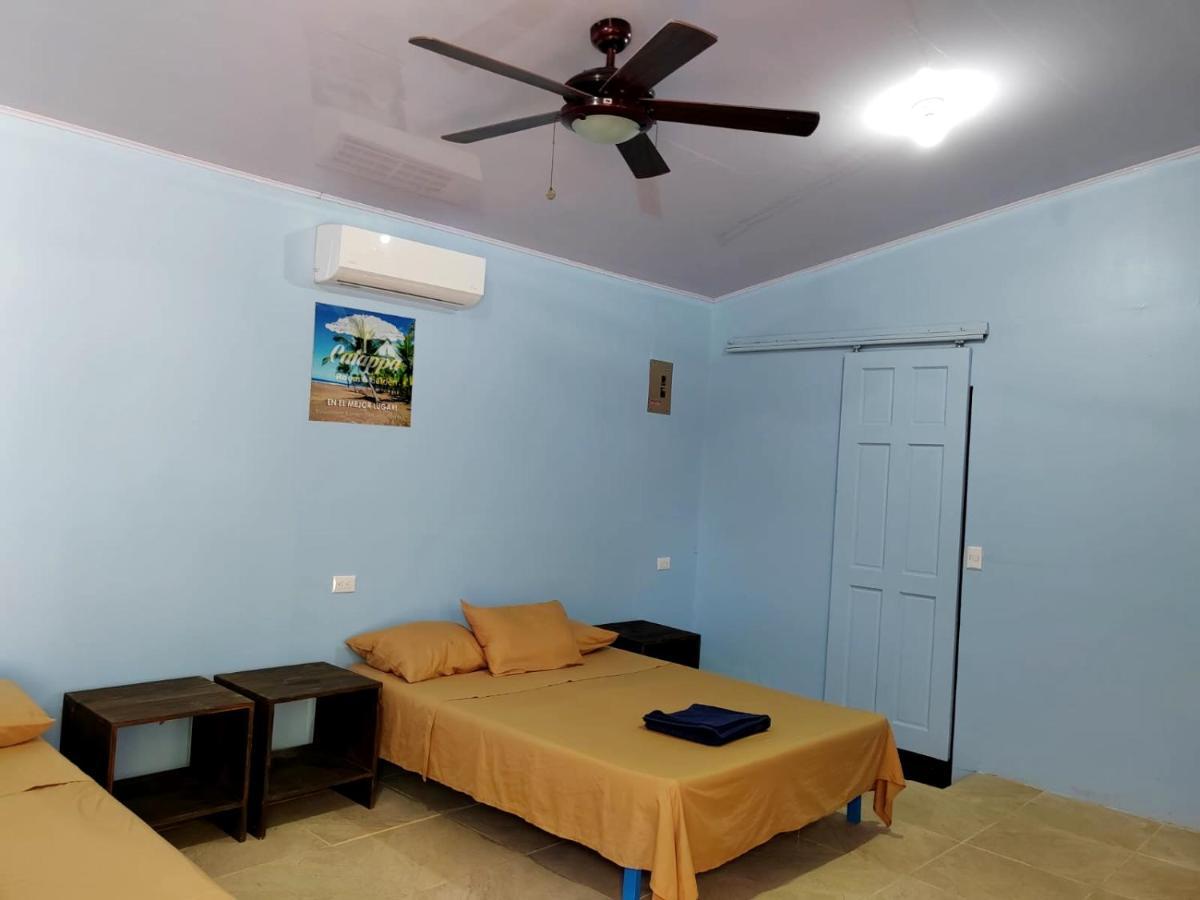 جاكو Hotel Catappa المظهر الخارجي الصورة