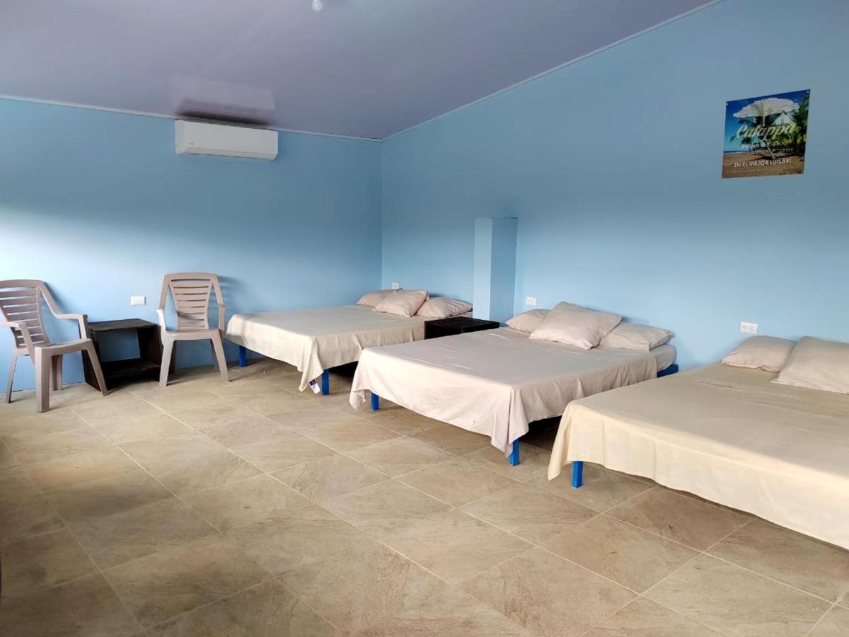 جاكو Hotel Catappa المظهر الخارجي الصورة